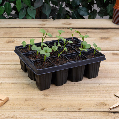 Modular Inserts 6 x 12 (72 cell)