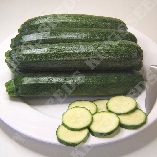 COURGETTE DEFENDER F1 RHS AGM