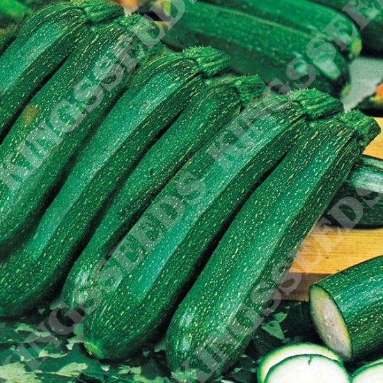 COURGETTE AMBASSADOR F1