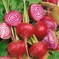 BEETROOT BARBABIETOLA DI CHIOGGIA