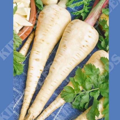 PARSNIP IMPERIAL CROWN