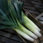 LEEK BELOW ZERO F1