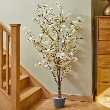 White Cherry Tree - 140 cm