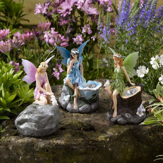 Fairies (Mixed Display)