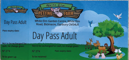 Day Pass Adult