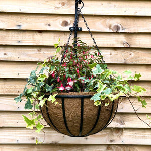 Cambridge 14'' Hanging Basket with Coco Liner