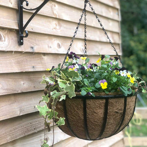 Oxford 12" Hanging Basket with Coco Liner